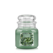 Country Candle Spiral Aloe świeca zapachowa średnia 2 knoty (453 g)