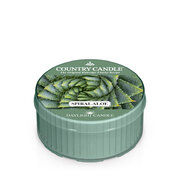 Świeca zapachowa Country Candle Spiral Aloe (42 g)