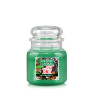Country Candle Holiday Sweets średnia świeca zapachowa z 2 knotami (453 g)