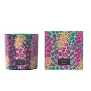 Świeca zapachowa Vila Hermanos Jungletopia WILD MUSK 650g