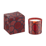 Świeca zapachowa Vila Hermanos '70s Poppy & Marigold 500g