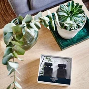 Dyfuzor ipuro Essentials Black Bamboo 2x50ml w pudełku prezentowym