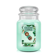 Country Candle Lemon Tea & Roses duża świeca zapachowa z 2 knotami (737 g)