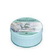 Świeca zapachowa Kringle Candle Winter Cypress (42g)