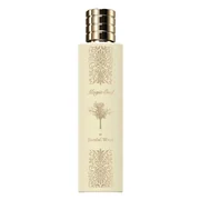 Paris Corner Magic Oud In Sandal Wood Woda perfumowana