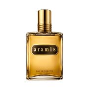 Aramis Aramis Woda toaletowa 110ml