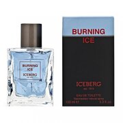 Iceberg Burning Ice Woda toaletowa – Tester