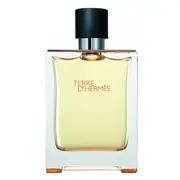Hermes Terre D'Hermes Woda toaletowa - Tester 100ml