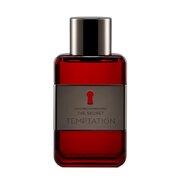 Antonio Banderas The Secret Temptation Woda toaletowa 100ml