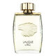 Lalique Pour Homme Lion Woda perfumowana