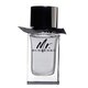 Mr.Burberry woda toaletowa spray 50ml