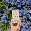 Miniatura: Wild honey & cactus flower bee case deostick, 40 g - 486620586_1149102190348562_6774521135099687929_n