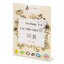 Miniatura: Pracie pásiky issencia na 2 prania camibaby - Issencia - Camibaby - 02