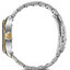 Miniatura: 