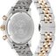 Miniatura: 
