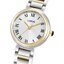 Miniatura: 