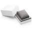 Miniatura: 
